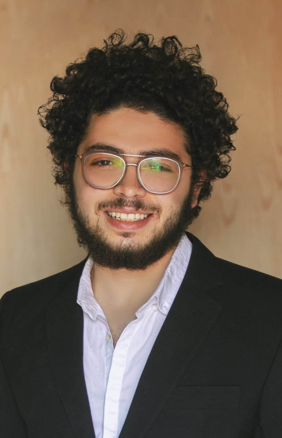 Mohamed Ramadan Photo